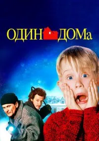 Один дома (фильм, 1990) смотреть онлайн